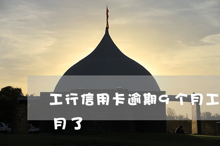 工行信用卡逾期9个月(工行信用卡逾期9个月了)