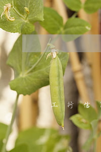 工行信用卡逾期9天還了