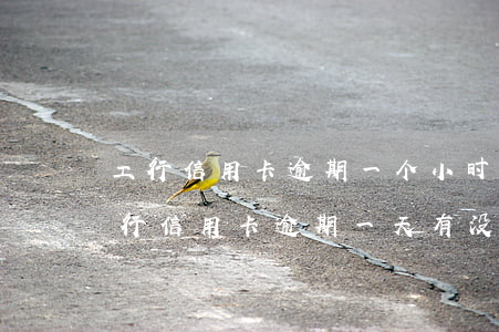 工行信用卡逾期一个小时怎么处理-工商银行信用卡逾期一天有没有影响?