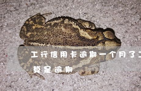 工行信用卡逾期一个月了(工行信用卡超几天算是逾期)