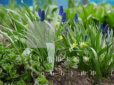 工行信用卡逾期一個(gè)了(工行逾期過(guò)再申請(qǐng)信用卡)
