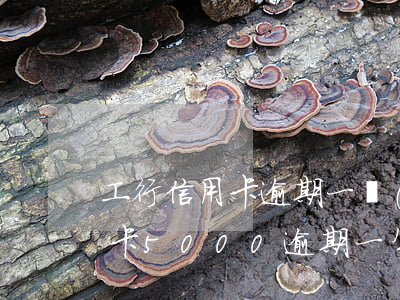 工行信用卡逾期一個(gè)星期 工行信用卡5000逾期一年半