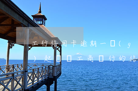 工行信用卡逾期一個(gè)月會(huì)起訴嗎(工商銀行的信用卡逾期會(huì)產(chǎn)生什么后果)