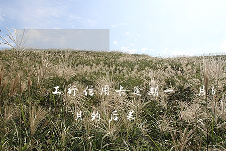 工行信用卡逾期一個月6(工行信用卡逾期一個月的后果)