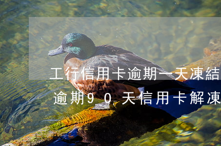 工行信用卡逾期一天凍結(jié)6(工行逾期90天信用卡解凍)