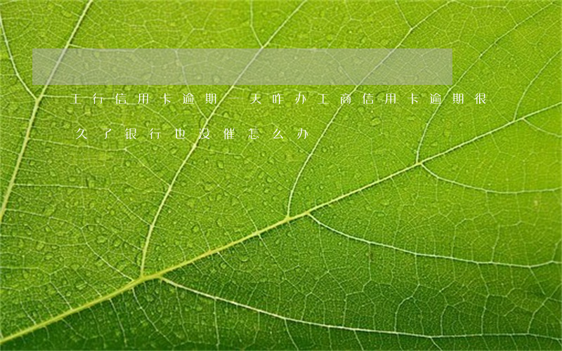工行信用卡逾期一天咋办(工商信用卡逾期很久了,银行也没催怎么办?)
