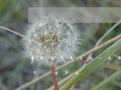工行信用卡逾期一天(工行信用卡逾期一天會不會有不良記錄)