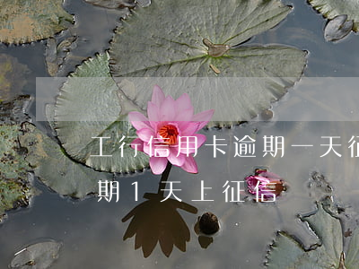 工行信用卡逾期一天征信(工行車貸信用卡逾期1天上征信嗎)