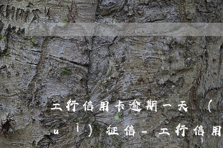 工行信用卡逾期一天會(huì)不會(huì)征信-工行信用卡逾期一天會(huì)不會(huì)征信有問(wèn)題