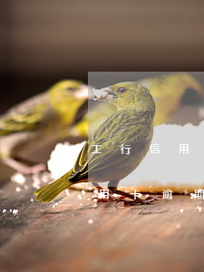 工行信用卡逾期一天會影響額度嗎-工行信用卡逾期一天會影響額度嗎知乎