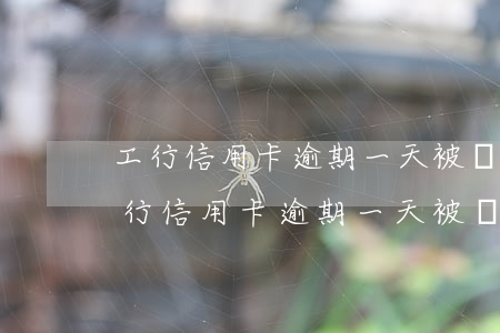 工行信用卡逾期一天被凍結(jié)了(工行信用卡逾期一天被凍結(jié)了怎么辦)