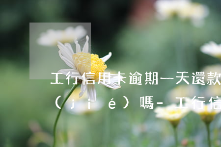 工行信用卡逾期一天還款會(huì)凍結(jié)嗎-工行信用卡逾期一天還款會(huì)凍結(jié)嗎怎么辦