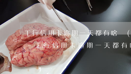 工行信用卡逾期一天都有啥費(fèi)用-工行信用卡逾期一天都有啥費(fèi)用嗎