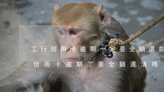 工行信用卡逾期一定要全額還款(招商銀行的信用卡逾期了,要全額還清嗎)