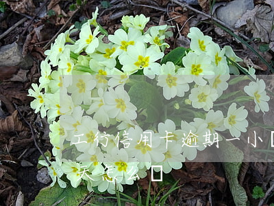 工行信用卡逾期一小時(工商的信用卡逾期一天怎么辦)