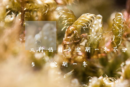 工行信用卡逾期一年不分期(工商銀行信用卡5萬逾期一年)