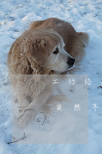 工行信用卡逾期一年催收(信用卡逾期半年了突然不催收了)