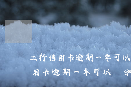 工行信用卡逾期一年可以辦分期嗎-工行信用卡逾期一年可以辦分期嗎