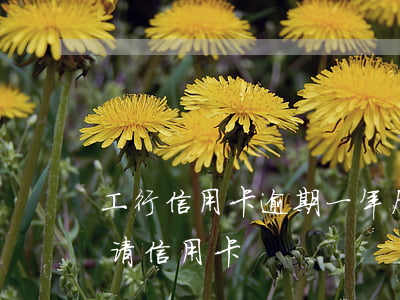 工行信用卡逾期一年后还款(工行逾期过再申请信用卡)