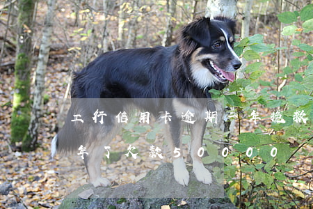 工行信用卡逾期一年挽救(工行信用卡逾期2年了欠款50000會怎么樣)