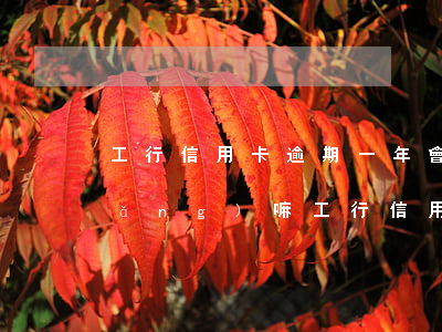 工行信用卡逾期一年會(huì)家訪(fǎng)嘛(工行信用卡逾期一年會(huì)家訪(fǎng)嘛)