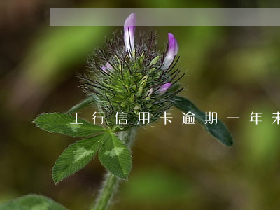 工行信用卡逾期一年未還款