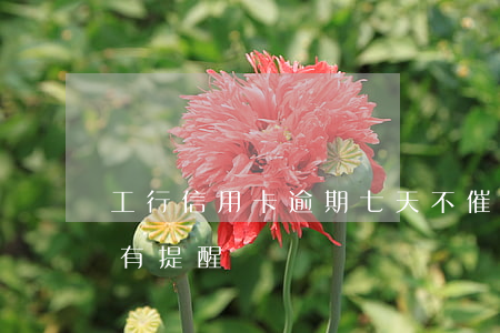 工行信用卡逾期七天不催(工行信用卡逾期沒有提醒)