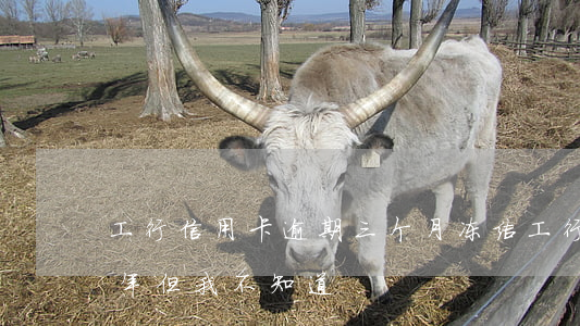 工行信用卡逾期三个月冻结(工行卡逾期十来年但我不知道)