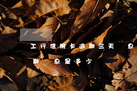 工行信用卡逾期三天罰息(工商銀行信用卡逾期罰息是多少)