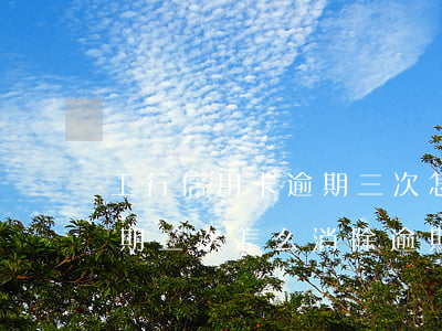 工行信用卡逾期三次怎么消除(工行信用卡逾期三次怎么消除逾期记录)