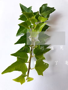 工行信用卡逾期上報(工行信用卡逾期上報給銀行了,有啥影響)