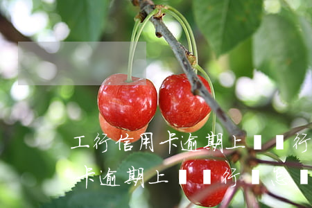 工行信用卡逾期上報銀行會怎樣-工行信用卡逾期上報銀行會怎樣處罰