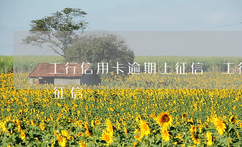 工行信用卡逾期上征信嗎(工行信用卡逾期上征信嗎)