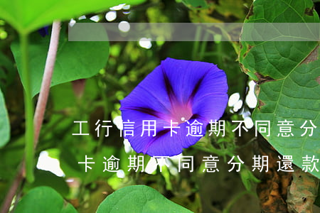 工行信用卡逾期不同意分期還款-工行信用卡逾期不同意分期還款怎么辦