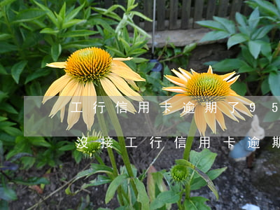 工行信用卡逾期了,95588給我打電話我沒接（工行信用卡逾期了10）