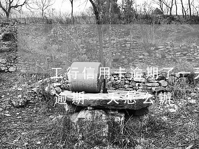 工行信用卡逾期了一天怎么辦(工商的信用卡逾期一天怎么辦)