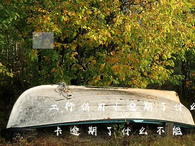 工行信用卡逾期了什么不能還款-工行信用卡逾期了什么不能還款了