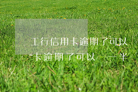 工行信用卡逾期了可以還一半嗎-工行信用卡逾期了可以還一半嗎怎么還