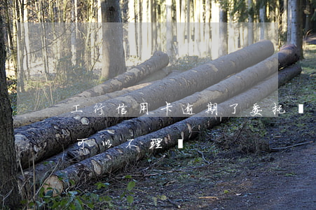 工行信用卡逾期了委托書(信用卡逾期委托方可以不理嗎?)