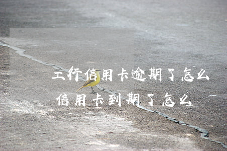工行信用卡逾期了怎么補(bǔ)救(工商行信用卡到期了怎么辦)