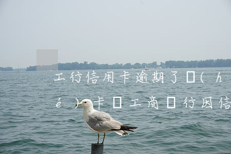 工行信用卡逾期了會(huì)凍結(jié)卡嗎 工商銀行因信用卡逾期凍結(jié)工資卡合法嗎
