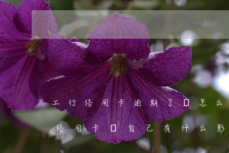 工行信用卡逾期了會怎么樣(工行逾期一天的信用卡對自己有什么影響)