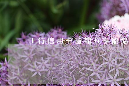 工行信用卡逾期五年,能協商分期還款嗎?
