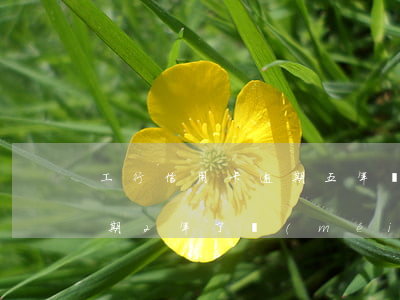 工行信用卡逾期五年還清(工商銀行信用卡逾期2年了沒(méi)有催收)
