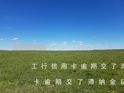 工行信用卡逾期交了滯納金征信-工行信用卡逾期交了滯納金征信會顯示嗎