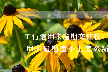 工行信用卡逾期交催收-銀行打電話催收信用卡逾期還不上怎么辦
