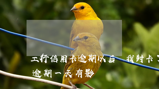 工行信用卡逾期以后給我封卡了 工商信用卡逾期一天有影響嗎