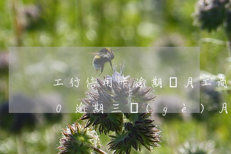 工行信用卡逾期倆月(工商銀行信用卡3000逾期三個(gè)月會(huì)報(bào)警嗎)