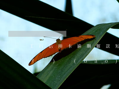 工行信用卡逾期催款短信(信用卡逾期催發(fā)報(bào)案短信)