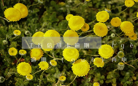 工行信用卡逾期兩個(gè)月還清后(工行逾期過(guò)再申請(qǐng)信用卡)